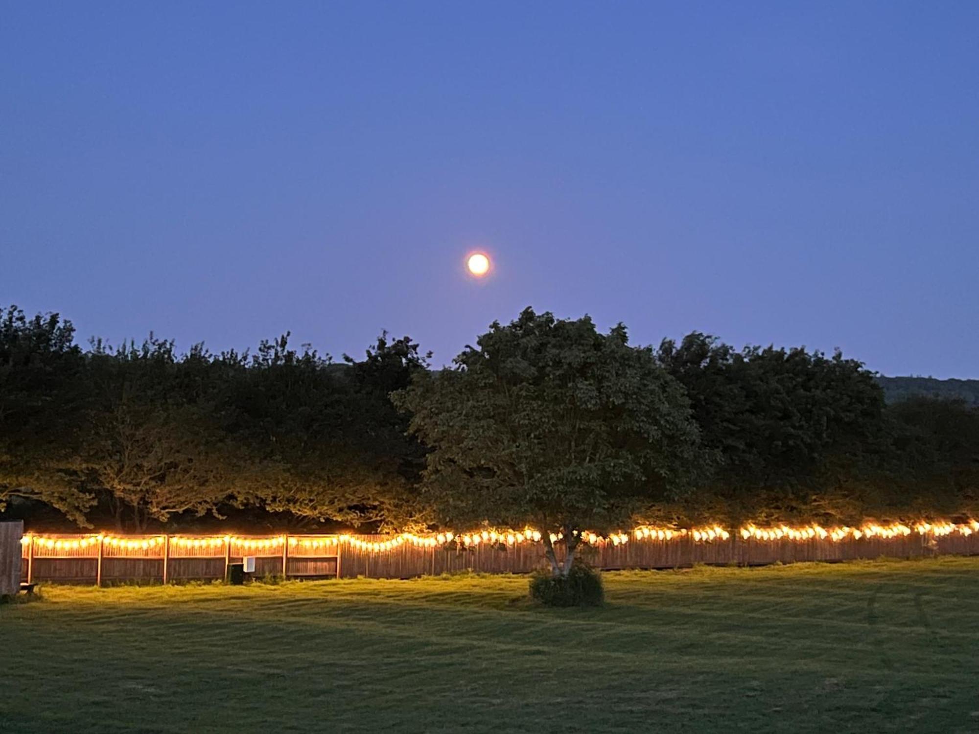 Hotel Little Bunny Retreat Bradmore  Esterno foto
